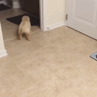     !