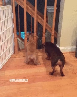  !