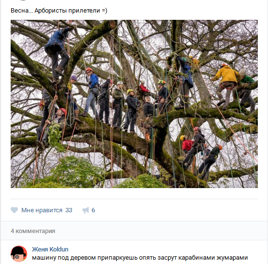 Spring ... arborists have arrived .. - Arboristics, Mountaineering, Tree