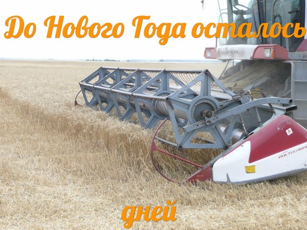 Not everyone will understand) - New Year, Combine harvester, Everyday life of a Tractor Driver