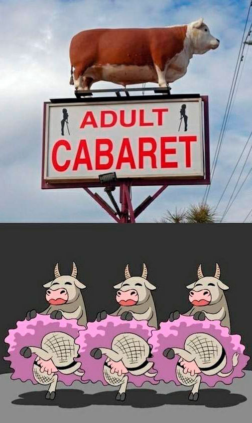 Cabaret for adults - Cabaret, Cow