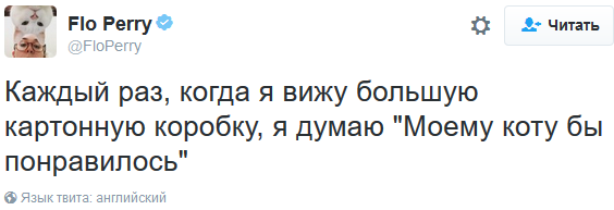 Лучшие твиты о котах за 2016 год. Часть 2. - Моё, Кот, Twitter, Длиннопост, Собака