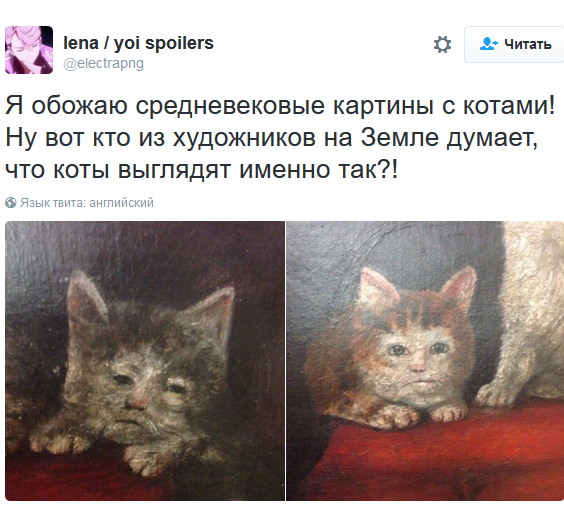 Лучшие твиты о котах за 2016 год. Часть 2. - Моё, Кот, Twitter, Длиннопост, Собака