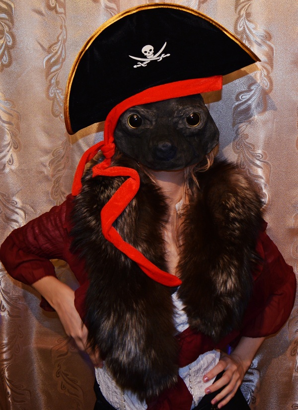 Decided to change career - My, Winter, Raccoon, Pirates, Fur, Creation, Cosplay, Mask, What's happening?