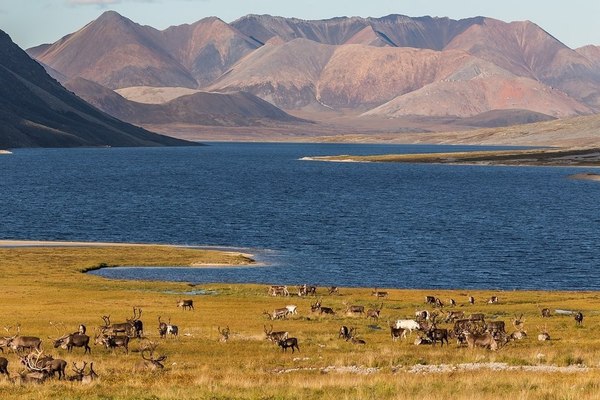 Landscapes of Lake Tobandya, Yakutia. - Yakutia, Lake, Sea, Photo, , Longpost