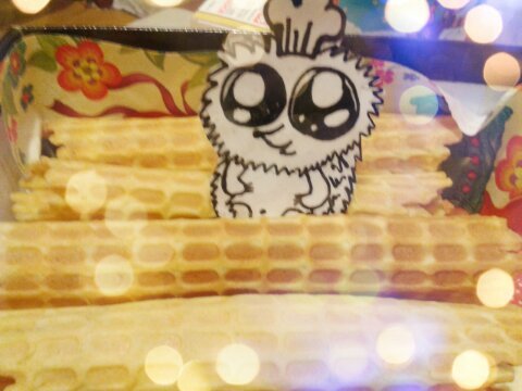 �������� ���