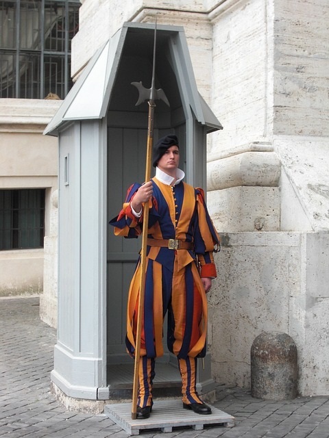 Facts about the Swiss Guard - My, Switzerland, Facts, Longpost