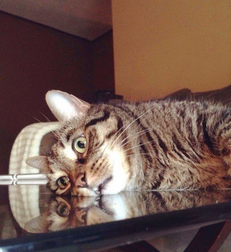 Понедельник