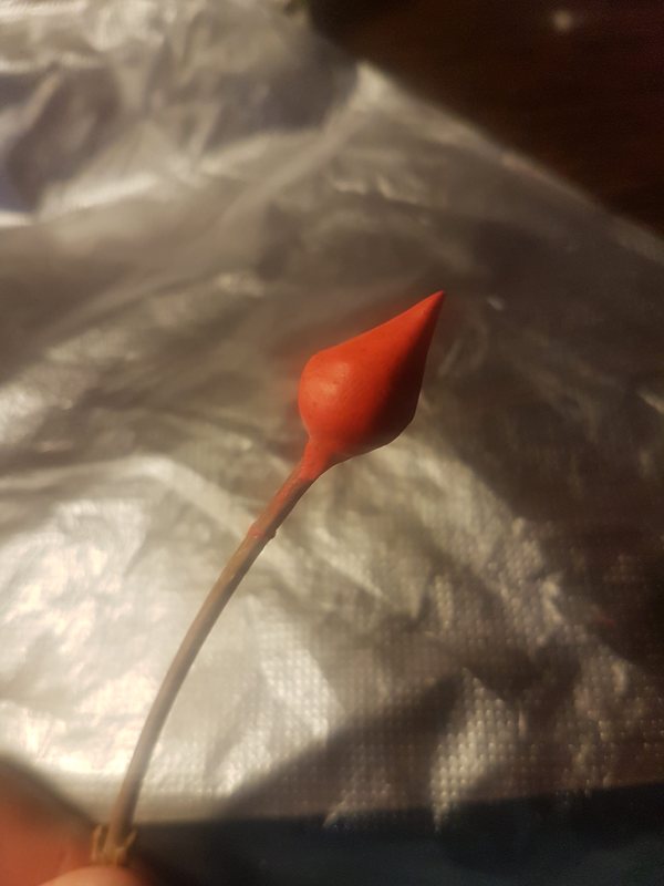 Розы из хлеба Творчество, Хлеб, Флористика, Ручная работа, Длиннопост