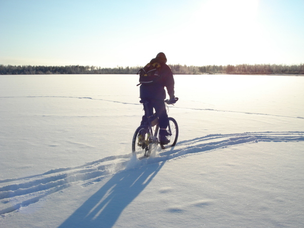 Ode to the winter cyclist - Winter, freezing, A bike, Poems, Evening ringing, Horror