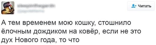 Дух Нового Года - Новый Год, Дух нового года, Кот, Тошнота