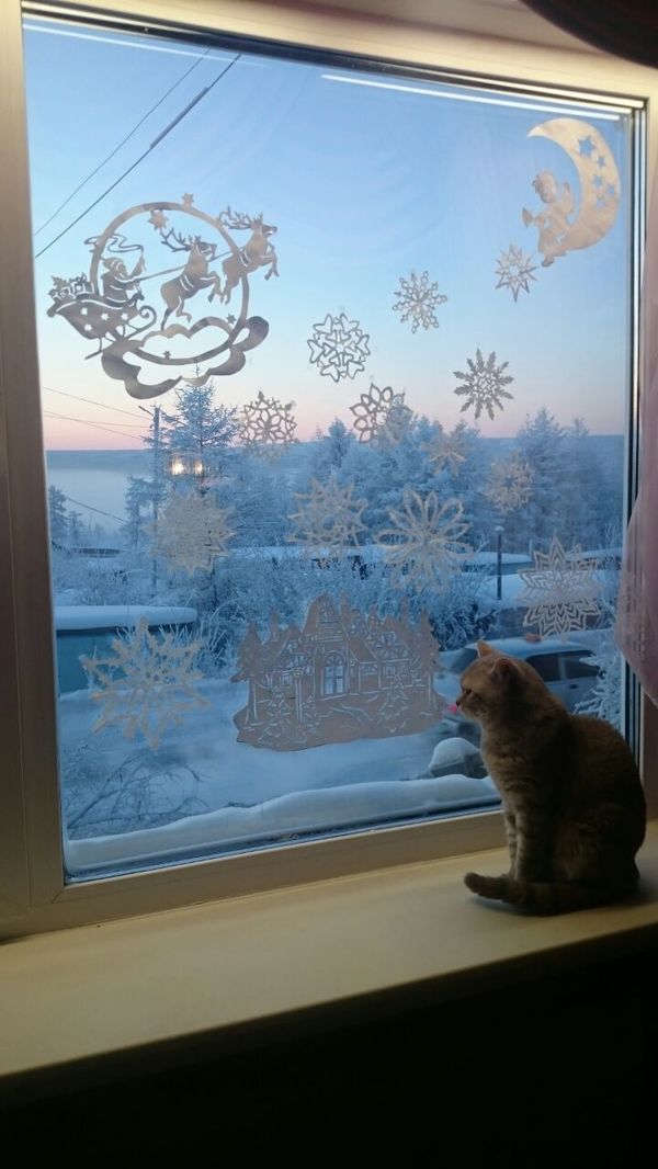 Looking forward to New Year 2017 - My, New Year, Yakutia, With your own hands, Decoration, Aikhal, cat