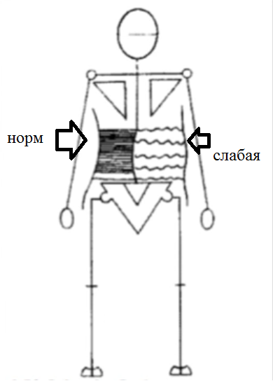 Is the vacuum in the stomach so useful? (another secret) - My, Stomach, Vacuum, Press, Anatomy, , Sport, Workout, Longpost