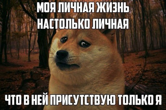 Hi, how are you in person? - Dog, Memes, , Loneliness