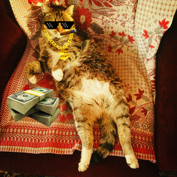 КОТЕЙКА БИГ БОСС