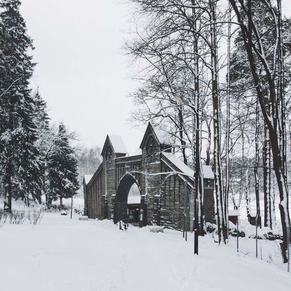 Snow-covered landscapes of Monrepos park - My, Photo, The photo, Nature, Winter, Snow, Russia, Longpost