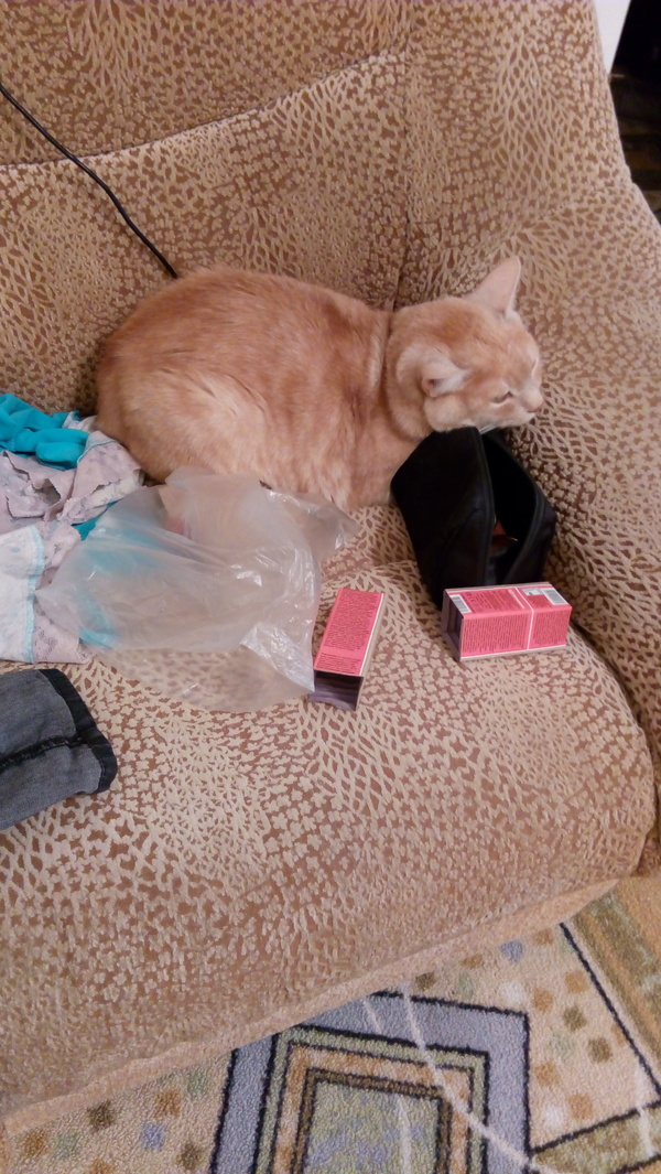 �� �� ���, �� - ������ (� ����������� ����� ��� ����)