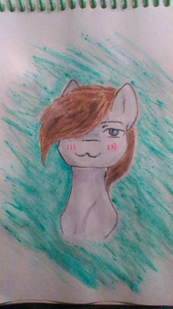 I finally overcame my laziness and painted it with paints. - My, My little pony, Original character