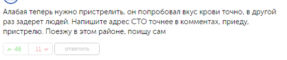 В Тюмени взбесившийся Абалай разорвал стаю дворняг и напугал прохожих. - Собака, ЧП, Тюмень