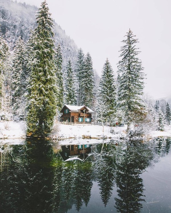 Winter - Winter, Forest, House, Snow, Silence, Rest, Appeasement, Calmness