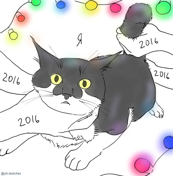 Let's suffer a little more. - My, New Year, cat, 2016