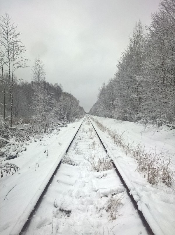 Путь к Припяти - Моё, Припять дорога, Припять, Зима, Пейзаж