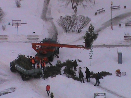 Christmas tree in Tolyatti - Christmas trees, Tolyatti, New Year