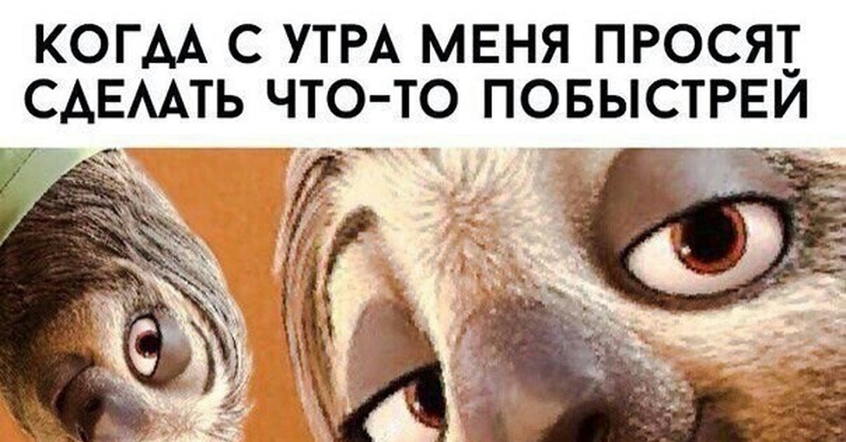 Весёлые мемы для поднятия настроения. Ленивец мем зверополис. Семь раз отмерь и отдохни ленивец. Ленивые все делают быстро. Весёлые картинки с надписями.