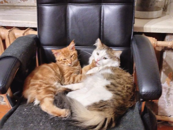 Тсс, люди смотрят