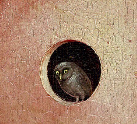 No one draws owls better than Bosch - Suffering middle ages, Hieronymus Bosch, Honestly stolen