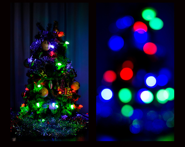 Christmas tree - New Year, My, Holidays, Christmas trees