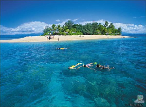 Интересные факты про Большой Барьерный риф. Большой Барьерный Риф, Кораллы, Фото, Подборка, Длиннопост