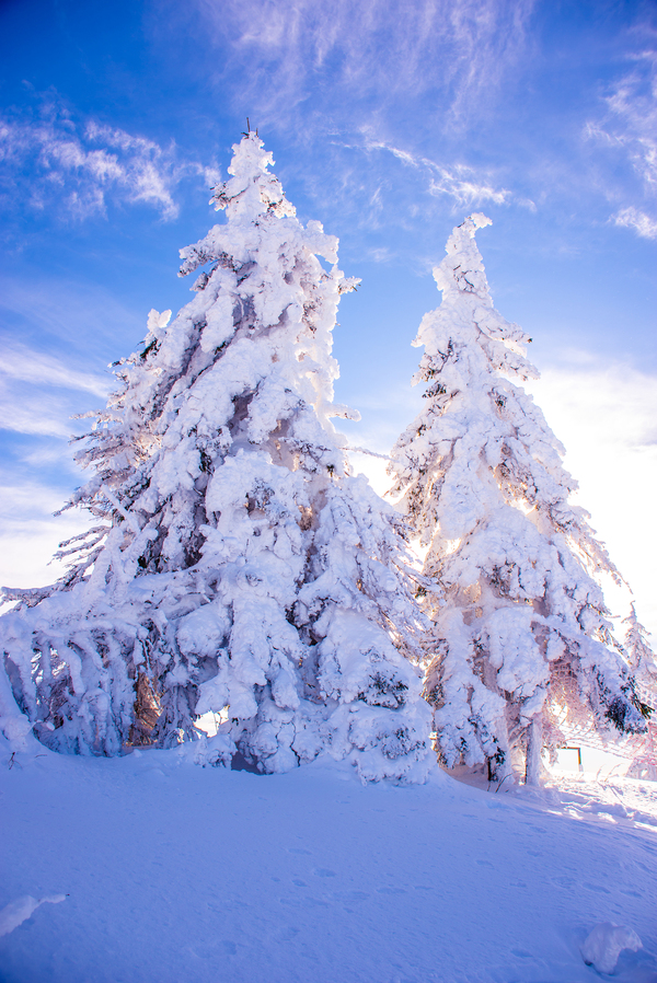 Winter's tale - My, The mountains, Brasov, Romania, Snow, Photo, Longpost