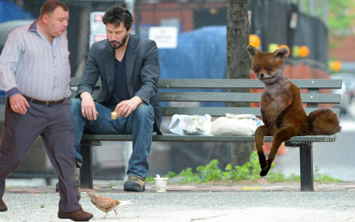 Good company - My, Memes, Keanu Reeves, Stoned fox
