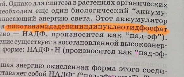 Курс биологии девятого класса, бессмысленный и беспощадный - Биология, Школа