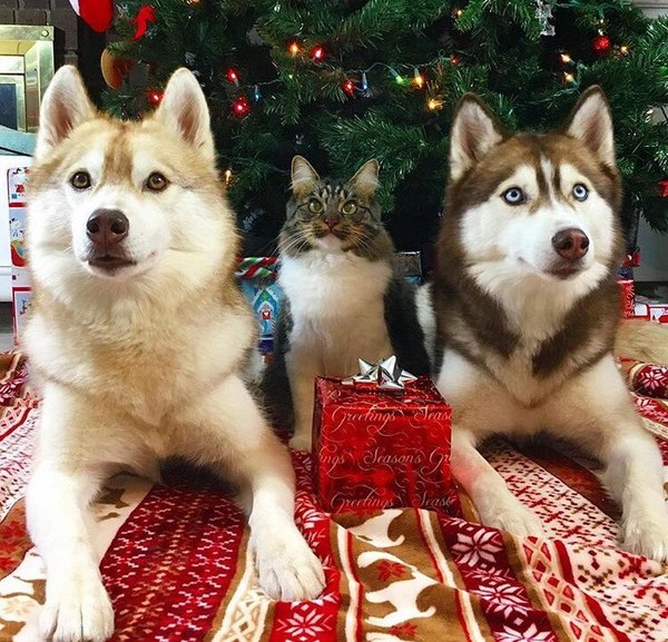 � �������� ��� ��������!