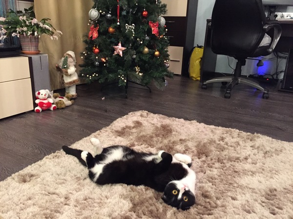 ������������