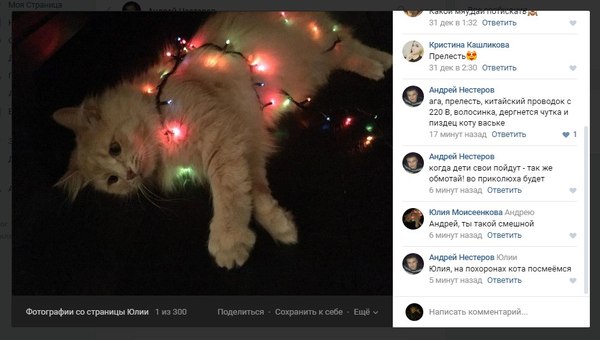 9 lives - New Year, cat, Garland, Comments, In contact with