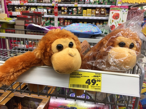 � ����� ������ ������