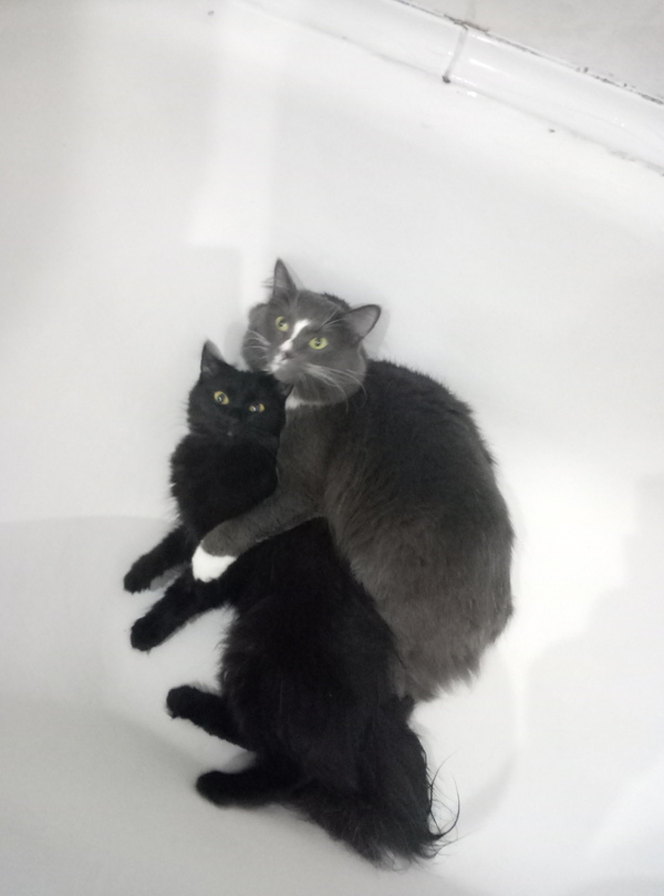 �� ����?