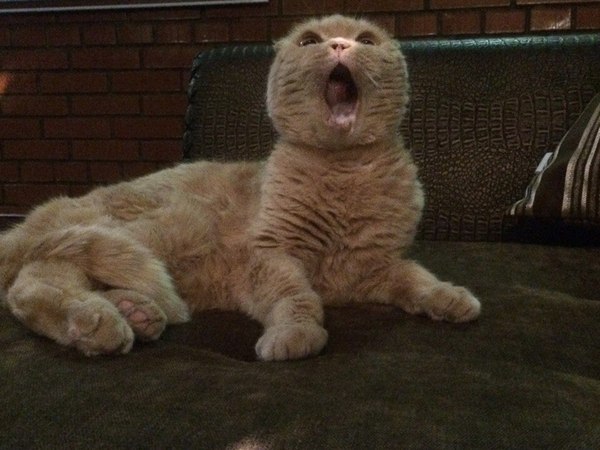 ��� ��� �������!