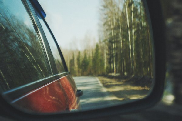 Mari Forest - My, Forest, Volga region, Nature, Tree, Harmony, The sun, Lake, Russia, Longpost