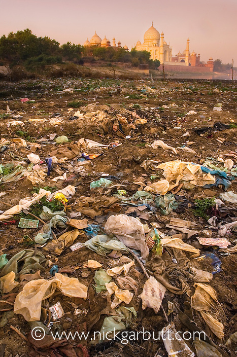 Taj Mahal and beyond... - Taj Mahal, Garbage, Architecture, People