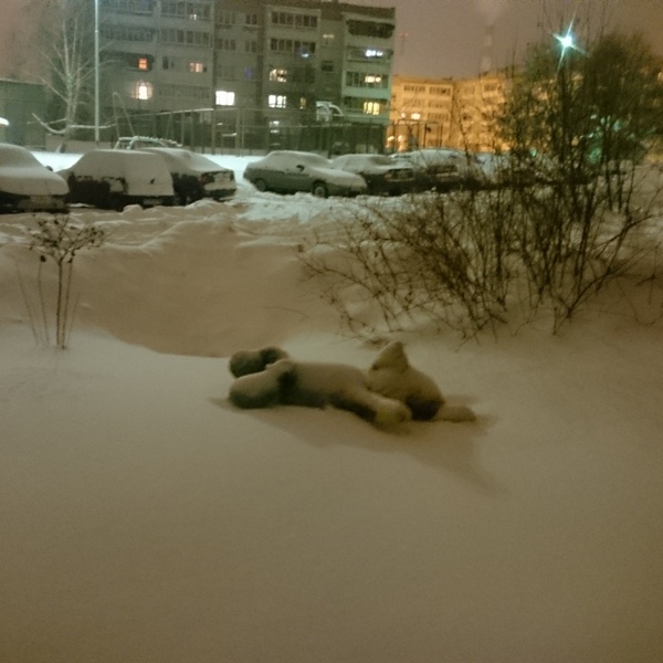 �������� ����������