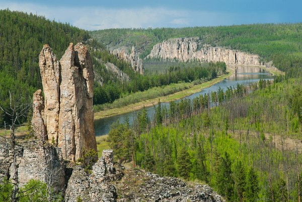 Republic of Sakha - Yakutia, Summer, River, Greenery, Alloy, Russia, Photo, Landscape, Longpost