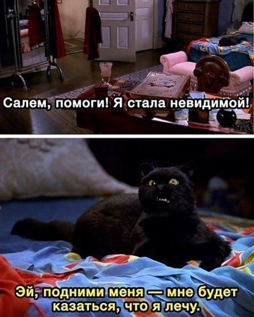 Talking cat - Sabrina the Little Witch, cat, Picture with text, Humor, Salem Saberhagen