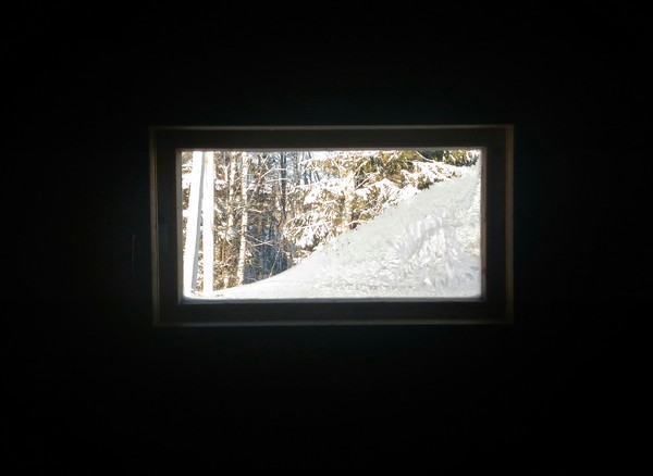Frost picture. - Window, Forest, freezing, My