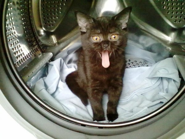 ��� �������� ����������