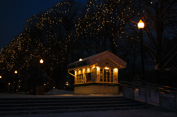 Evening tale - My, New Year, Story, Evening, Winter, Gorky Park, Moscow