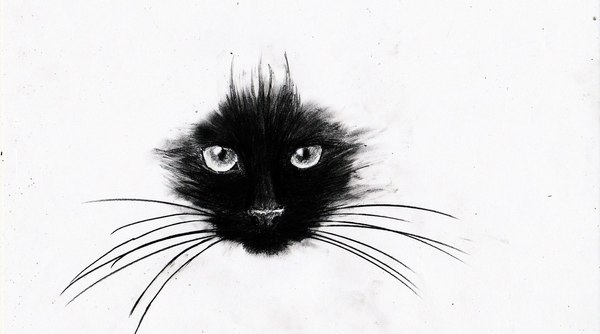 Drawing Cat - My, Drawing, cat, Black cat